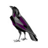 Raven & Writing Desk Logo