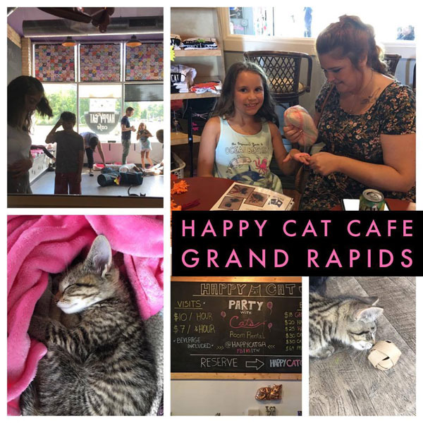 Pixel and Luna Happy Cat Cafe Event 2019