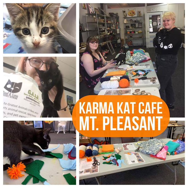 Pixel and Luna Karma Kat Cafe Event 2019